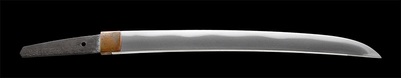 脇差　常陸大掾藤原成定　刀剣　日本刀の画像2