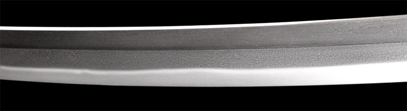 脇差　津田越前守助広　刀剣　日本刀の画像13