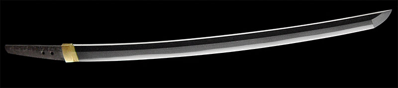 脇差　津田越前守助広　刀剣　日本刀の画像14