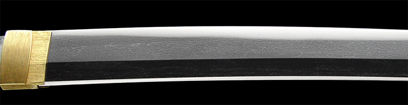 脇差　津田越前守助広　刀剣　日本刀の画像4