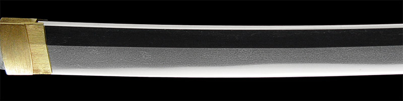 脇差　津田越前守助広　刀剣　日本刀の画像5