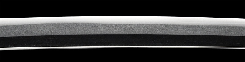 脇差　津田越前守助広　刀剣　日本刀の画像6